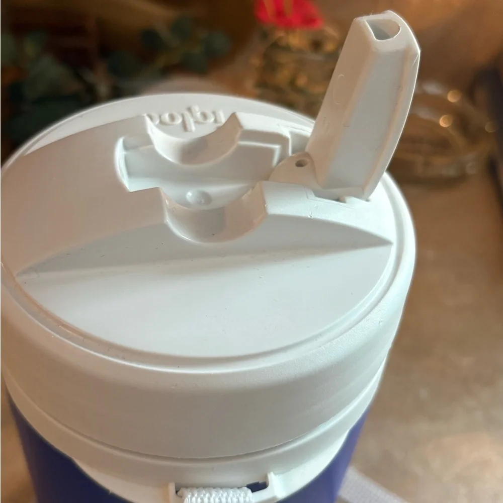 Igloo Blue and White Drinkware